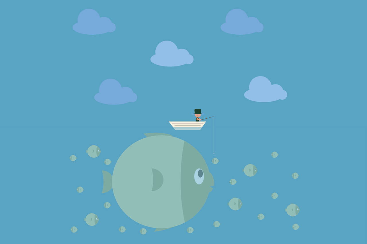 猫番阅读app-官方正版软件2025最新版本免费下载